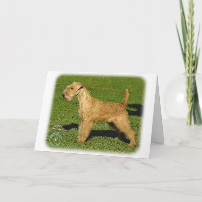 Lakeland Terrier 9P002D-026 Kort (Framsida)