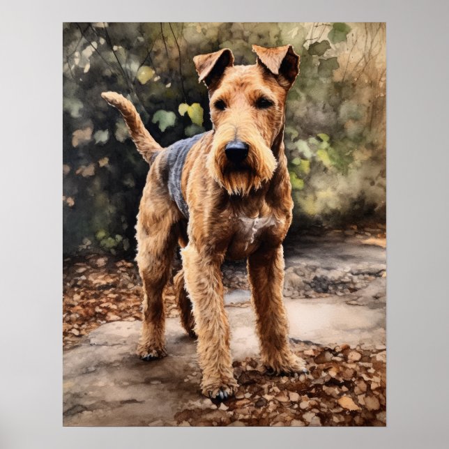 Lakeland Terrier Hund Art Print Poster (Framsidan)