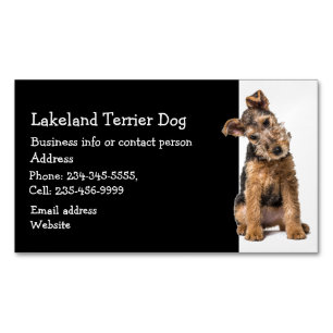 Lakeland Terrier Hund Breeder Pet Sitter Magnetiska Visitkort