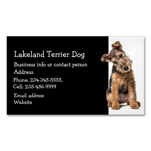 Lakeland Terrier Hund Breeder Pet Sitter Magnetiska Visitkort (Framsida)