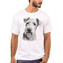 Lakeland Terrier Hund