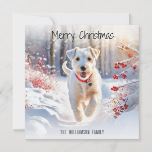 Lakeland Terrier Hund Vinter Snö God Jul Julkort