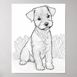 Lakeland Terrier Hund Vuxen Coloring Poster