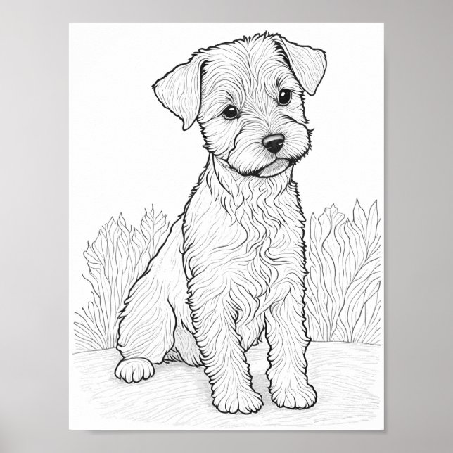Lakeland Terrier Hund Vuxen Coloring Poster (Framsidan)