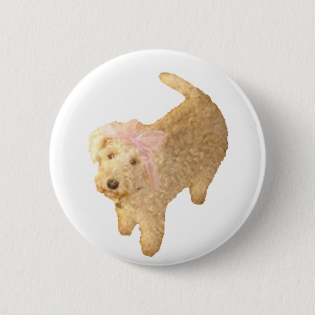 Lakeland Terrier Knapp (Framsida)