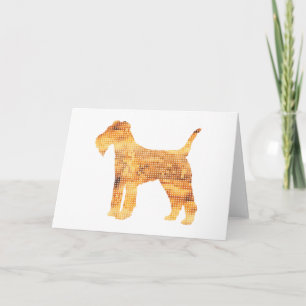 Lakeland Terrier Kort