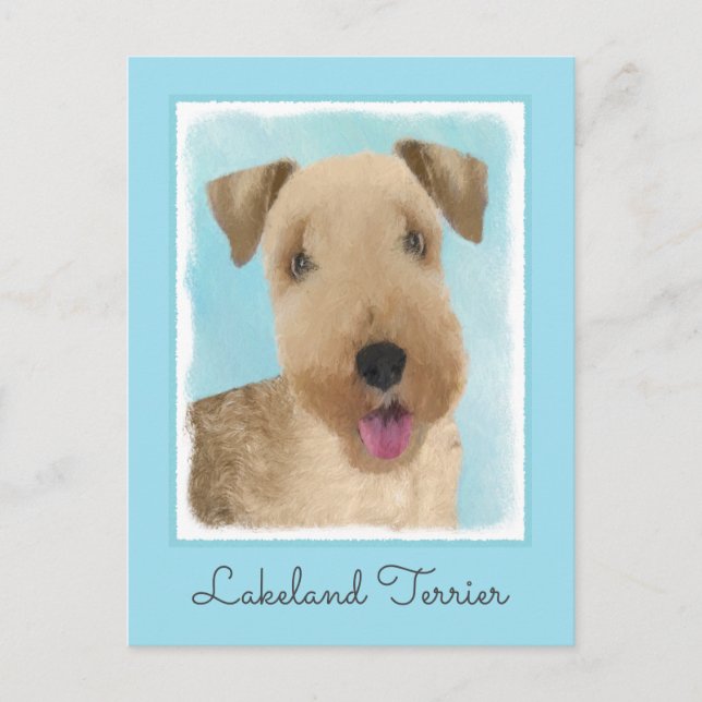 Lakeland Terrier-målning - Cute Original Hund Art Vykort (Framsida)