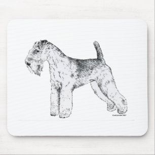Lakeland Terrier Musmatta