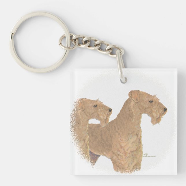 Lakelandterrier (Framsidan)