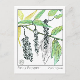 Läkemedel för växtbaserade läkemedel vykort