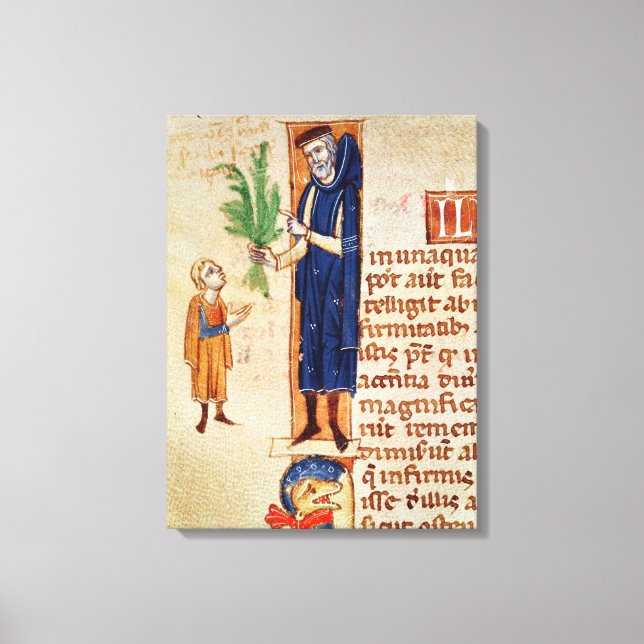 Läkemedelsväxter Canvastryck (Framsida)