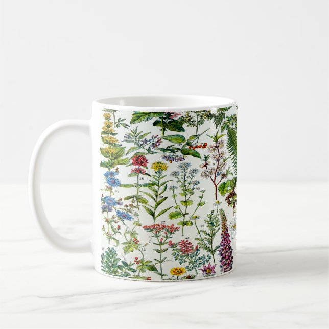 Läkemedelsväxter Kaffemugg (Vänster)