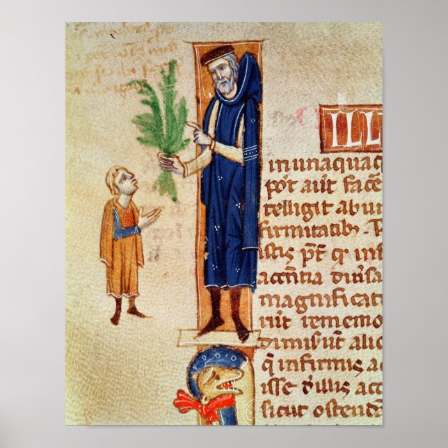 Läkemedelsväxter Poster (Framsidan)