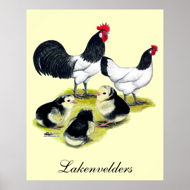 Lakenvelder Chicken-familjen Poster (Framsidan)