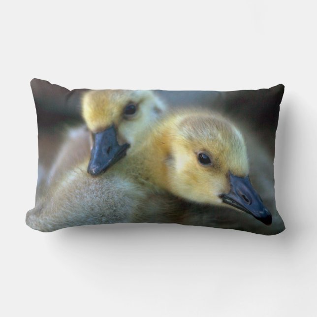 Lakeside Lumbarkudde (Framsida)