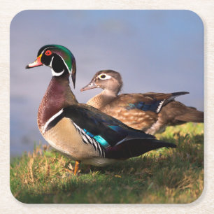 Lakeside, Mandarinand Underlägg Papper Kvadrat
