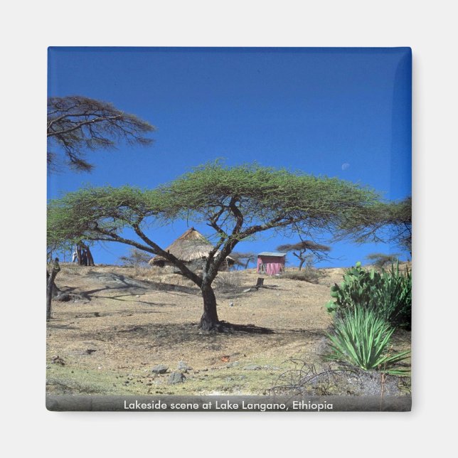 Lakeside scen i Sjö Langano, Etiopien Magnet (Framsidan)