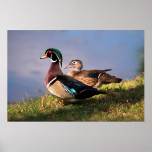 Lakeside, Wood Anka Poster