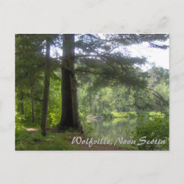 Lakeside Woodland Vykort