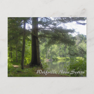 Lakeside Woodland Vykort