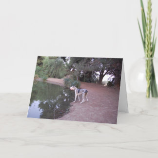 Lakesidehundkort Kort