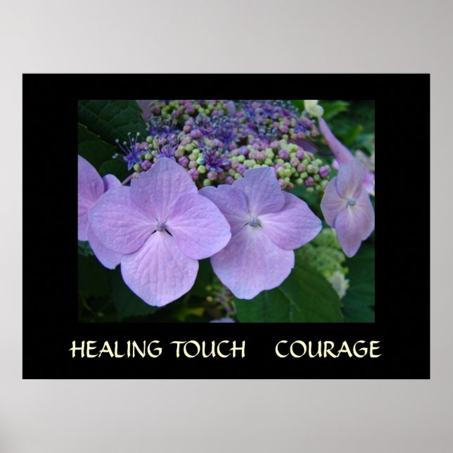 LÄKNANDE BERÖRING Konst Gåvor MOD Hydrangea Konst Poster (Framsidan)