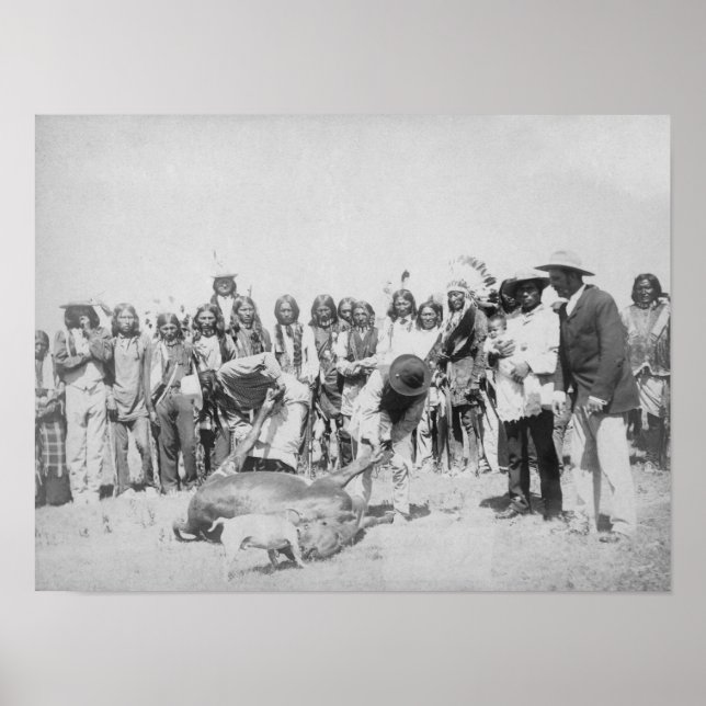 Lakota Indians Skinning Cattle Photograph Poster (Framsidan)