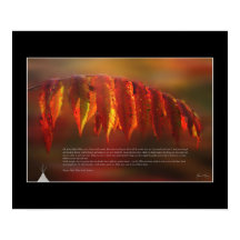 Lakota Prayer Poster