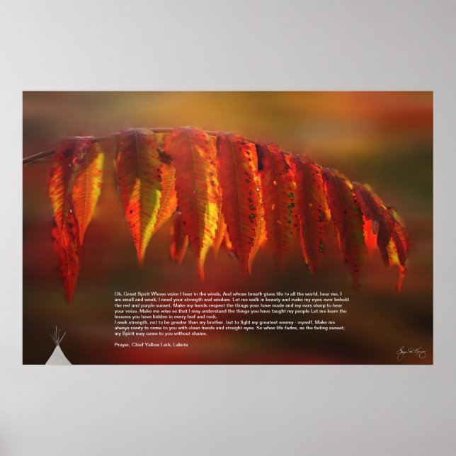 Lakota Prayer Poster (Framsidan)