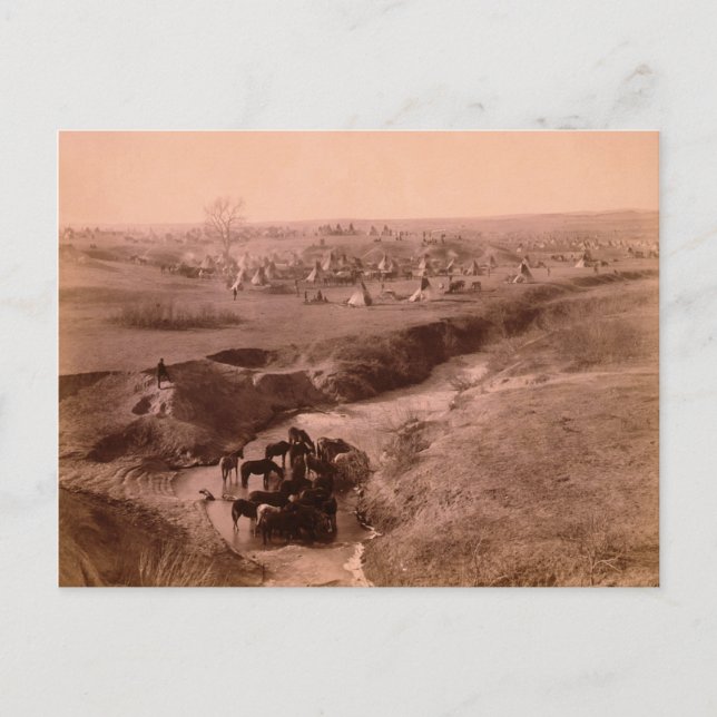 Lakota Tipi Camp-vykort Vykort (Framsida)