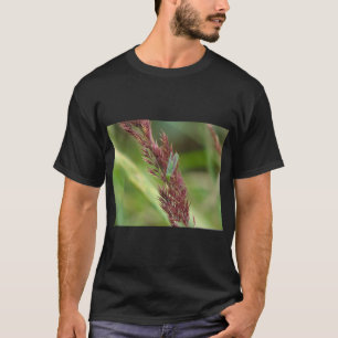 Lakterande Insekt - typ Skriv ut T Shirt