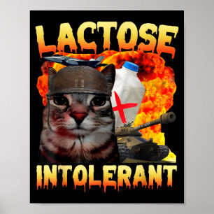 Laktosintolerant dum katt meme rolig text katt poster