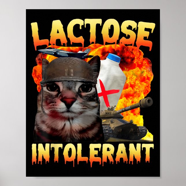 Laktosintolerant dum katt meme rolig text katt poster (Framsidan)