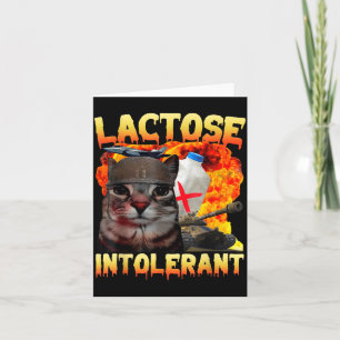 Laktosintolerant dum kattememe rolig fras katt kort