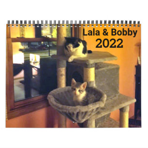 Lala & Bobby 2022 Personlig Cats Calendar Kalender