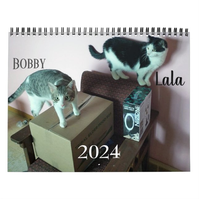 Lala & Bobby Personlig Cat Calendar 2024 Kalender (Omslag)
