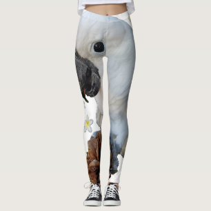 Lala kakaduan med gräskotten och Plumeria Leggings