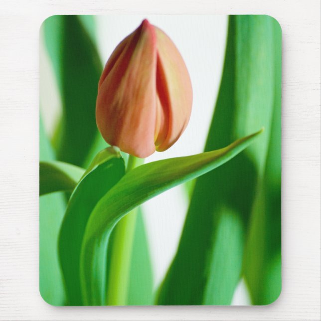 lala Tulip Mousepad Musmatta (Framsidan)