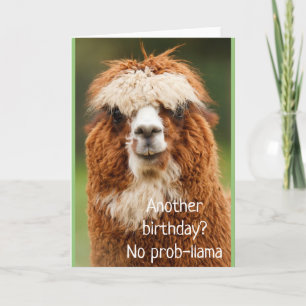 Lama Alpaca Inget Prob-lema Födelsedags Kort