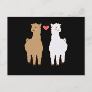 Lama Alpaca Lamas Alpacas Söt Djurdesign Vykort