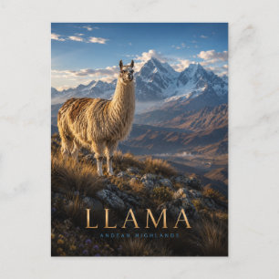 Lama Anderna högländer DJUR Vykort