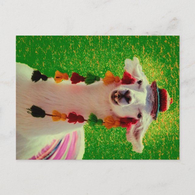 Lama i Chiloe-Chile med ornament Meddelande Vykort (Framsida)