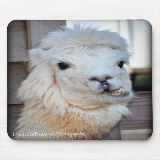 Lama Mousepad Musmatta