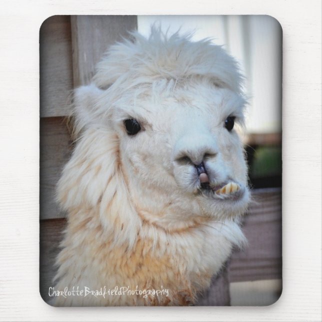 Lama Mousepad Musmatta (Framsidan)