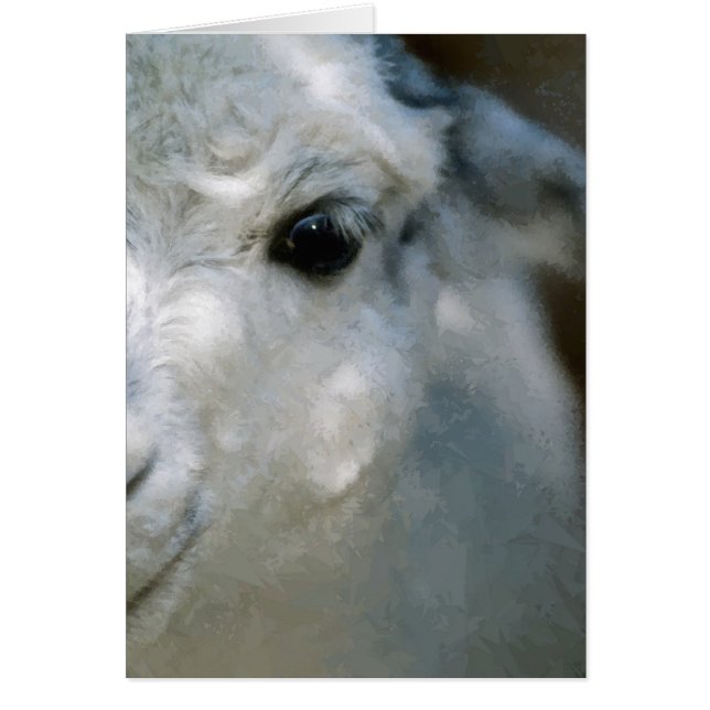 Lama OBS Kort (Framsidan)