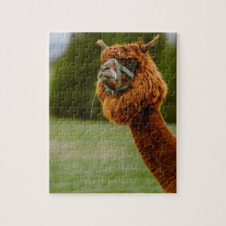 Lama Pussel