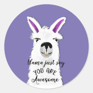 Lama säger bara att du är fantastisk pojkvän ke runt klistermärke