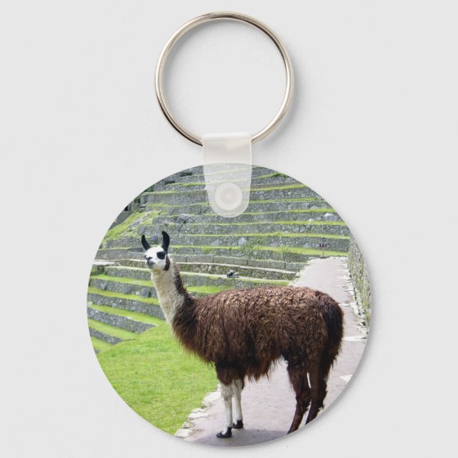 lama ser ut nyckelring (Framsida)
