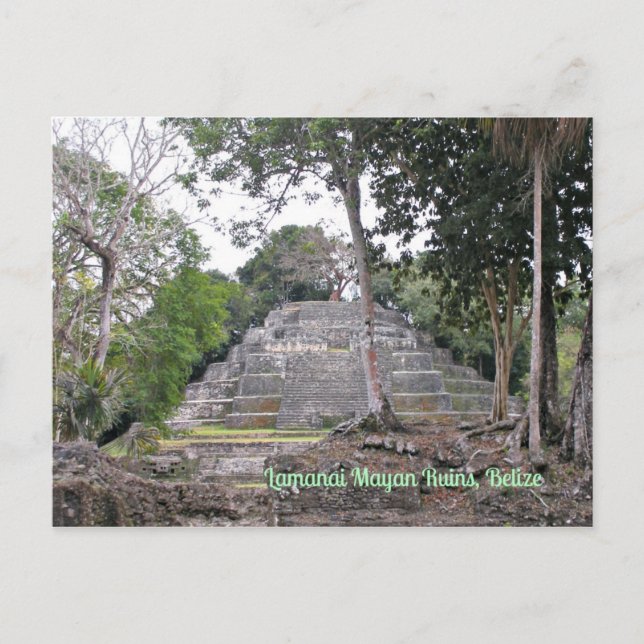 Lamanai Mayan Ruins Belize Postcard Vykort (Framsida)