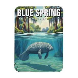 Lamantin i Blue Spring State Park Magnet